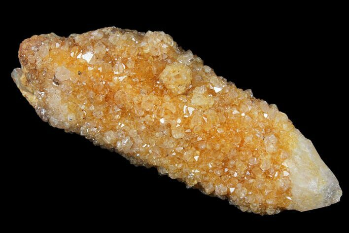 Sunshine Cactus Quartz Crystal - South Africa #122350